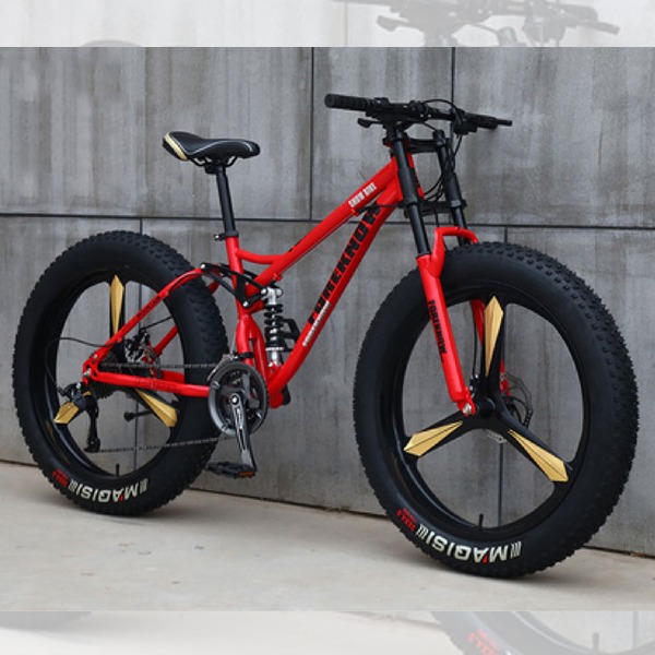 fatbike lebron