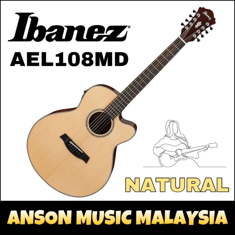 Ibanez 8 string online acoustic guitar