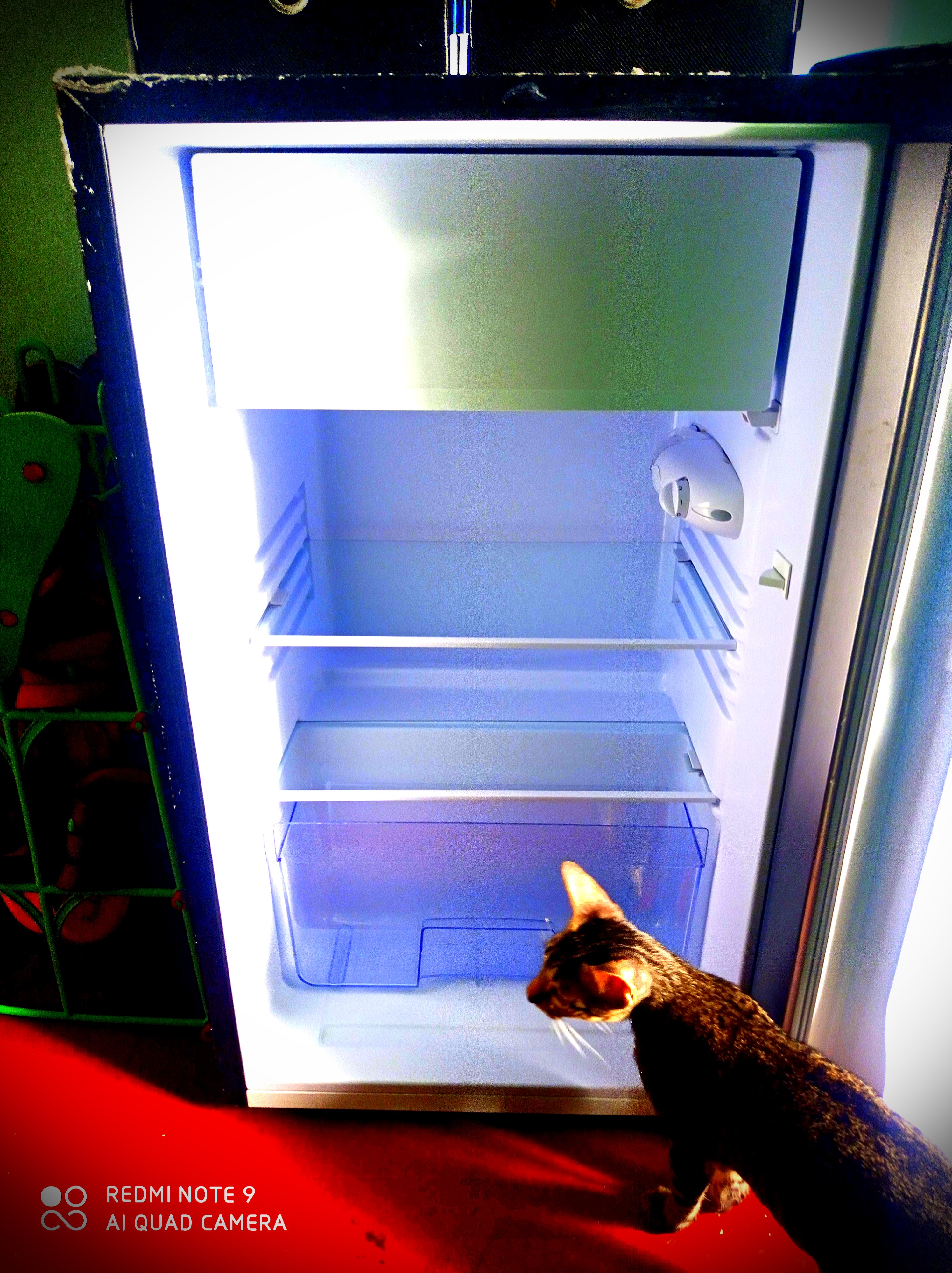 Markes of Canada SemiInverter Refrigerator, TV & Home Appliances