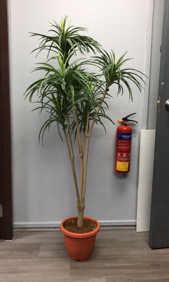 Potted Plant Fake Ikea Gardening Plants On Carousell
