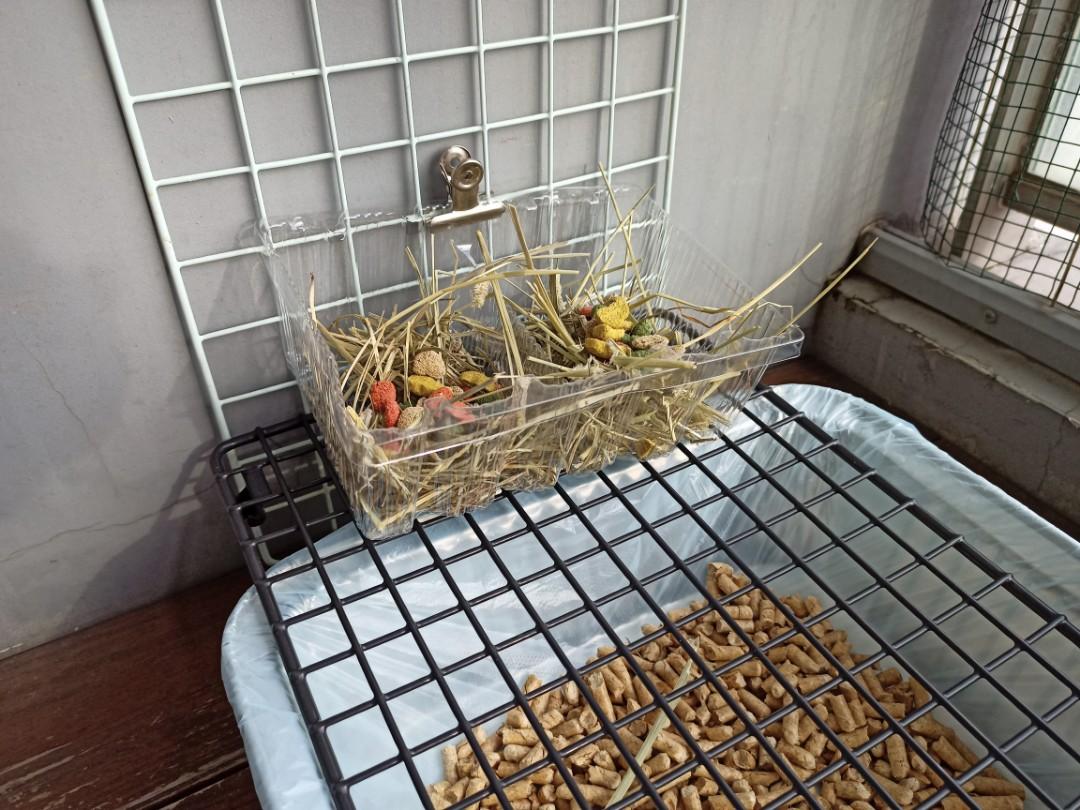 Metal rabbit litter box online