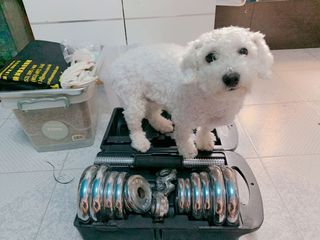 （分類：）位於 。 由 gsbs_store 提交（商品編號 1024872591，圖片 1）。簡介： 。