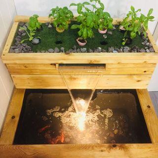 Aquaponics Garden Tools Supplies Carousell Philippines