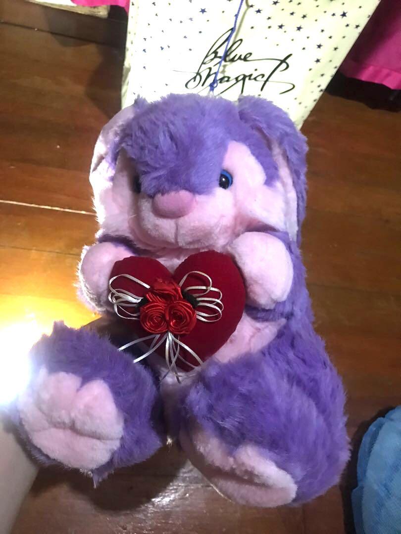 lilac teddy