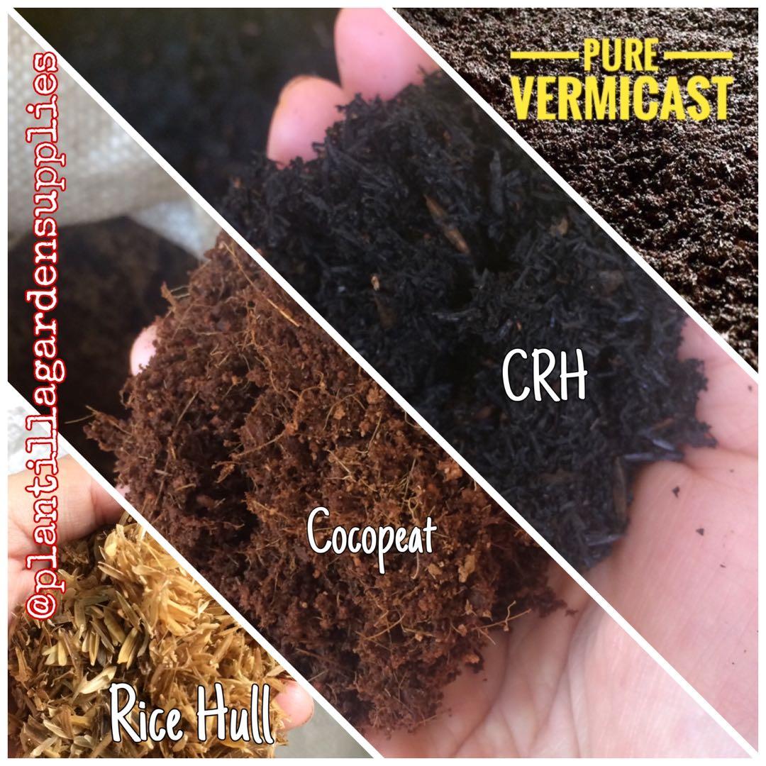 Cns Cactus Succulent Soil Vermicast Cocopeat Organic Soil Gardening Garden Tools Supplies On Carousell