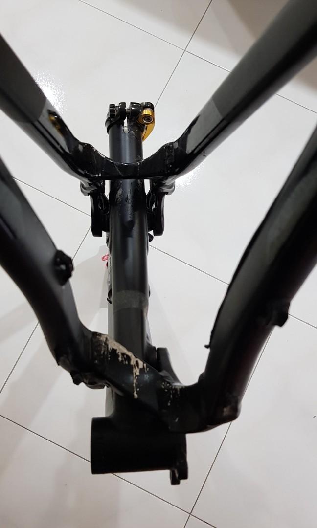 Polygon trid zz 2025 frame