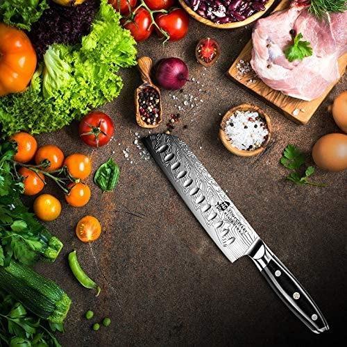TUO Chef Knife - Kitchen Knives 8-inch High Carbon Stainless Steel - Pro  Chef Vegetable Meat Knife with G10 Full Tang Handle - Black Hawk-S Series