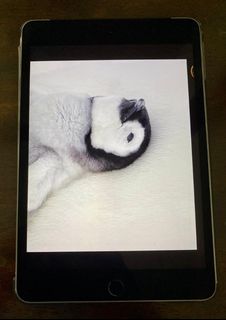 (Category: ) located in . Submitted by rupaligupta (Listing ID 1024891237, Image 1). Description: .