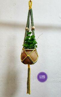 Lovely macrame plant hanger