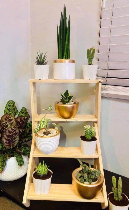 Plant Shelf Rack (Category: Plants & Seeds) located in Manila. Submitted by louisejsnts (Listing ID 1024854838, Image 1). Description: Photo # 1 = 850 php #2= 650 php #3 & #4 = 1000 php.