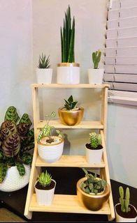Plant Shelf Rack
