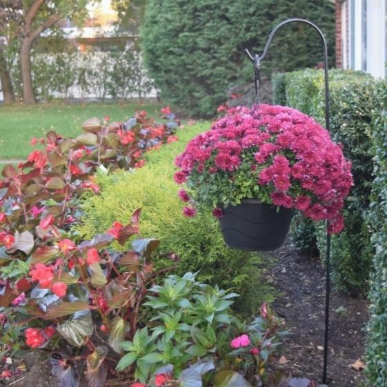 Shepherd Hooks 10 S Set Gardening Garden Tools Supplies On Carousell