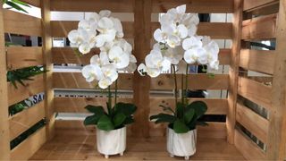 Artificial Arrangement Collection item 1