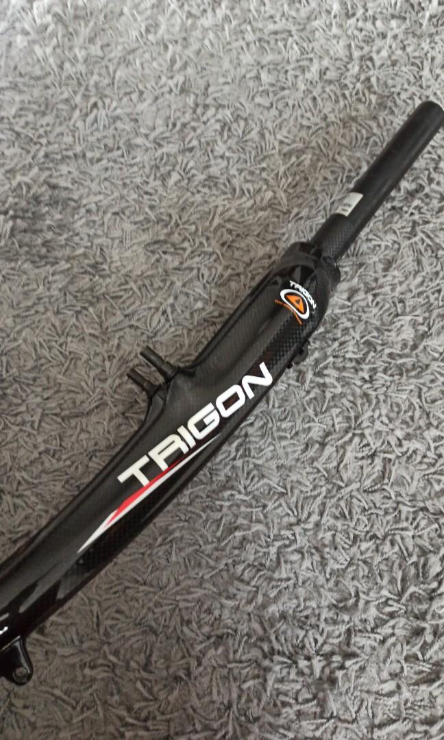 trigon carbon fork