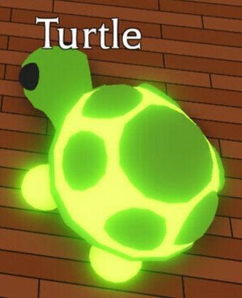 Adopt Me Nfr Turtle Toys Games Video Gaming Gaming Accessories On Carousell - roblox adopt me pet turtle