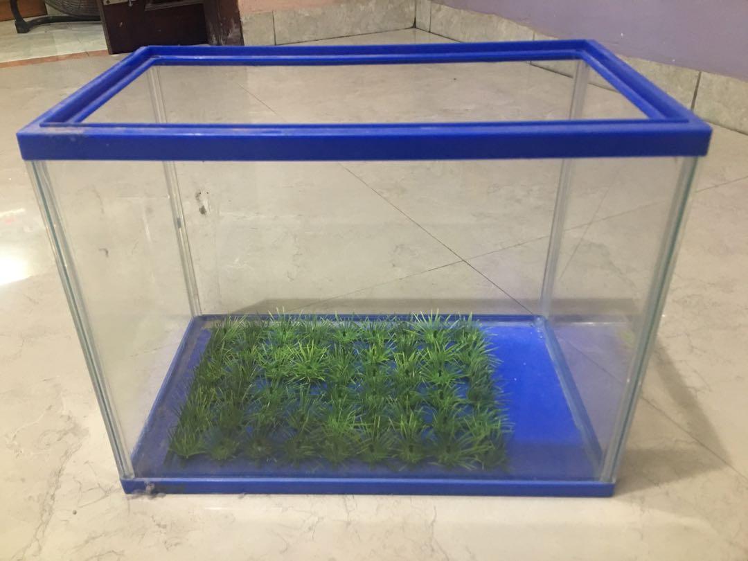 Akuarium Akrilik 30x20 Cm Perlengkapan Hewan Aksesoris Hewan Di Carousell