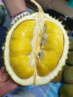 (Category: ) located in . Submitted by f.a.t (Listing ID 1018197704, Image 1). Description: .