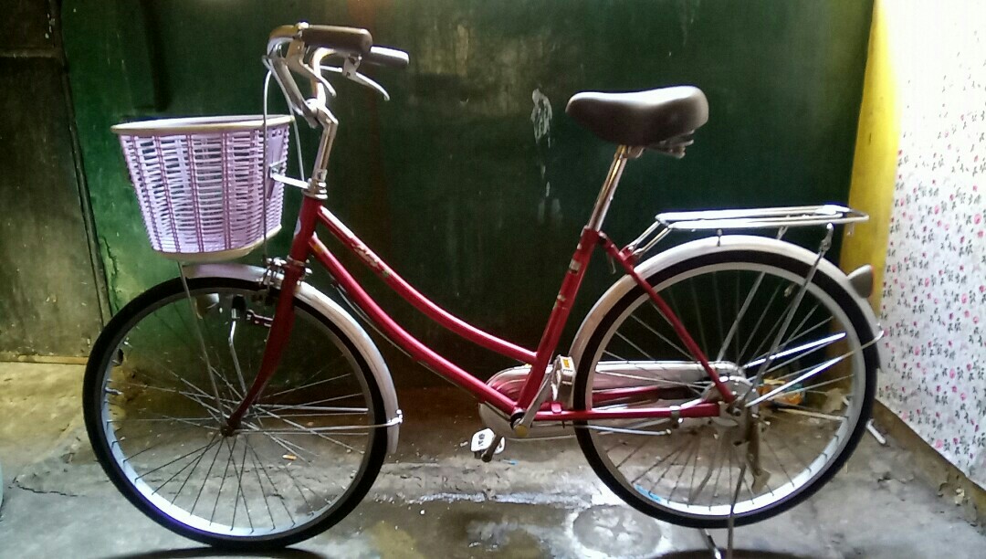 Japanese bike size 24 sales
