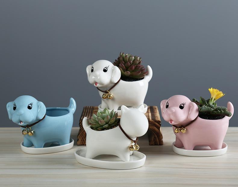 New Ceramic Dog Pot Cute Plant Pots Succulent Pot With Drainage Hole Gardening Pots Planters On Carousell Watering succulents is the #1 challenge growers have to keeping their succulents alive. sgd