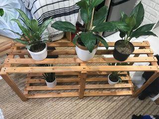 Plant bench (made to order)