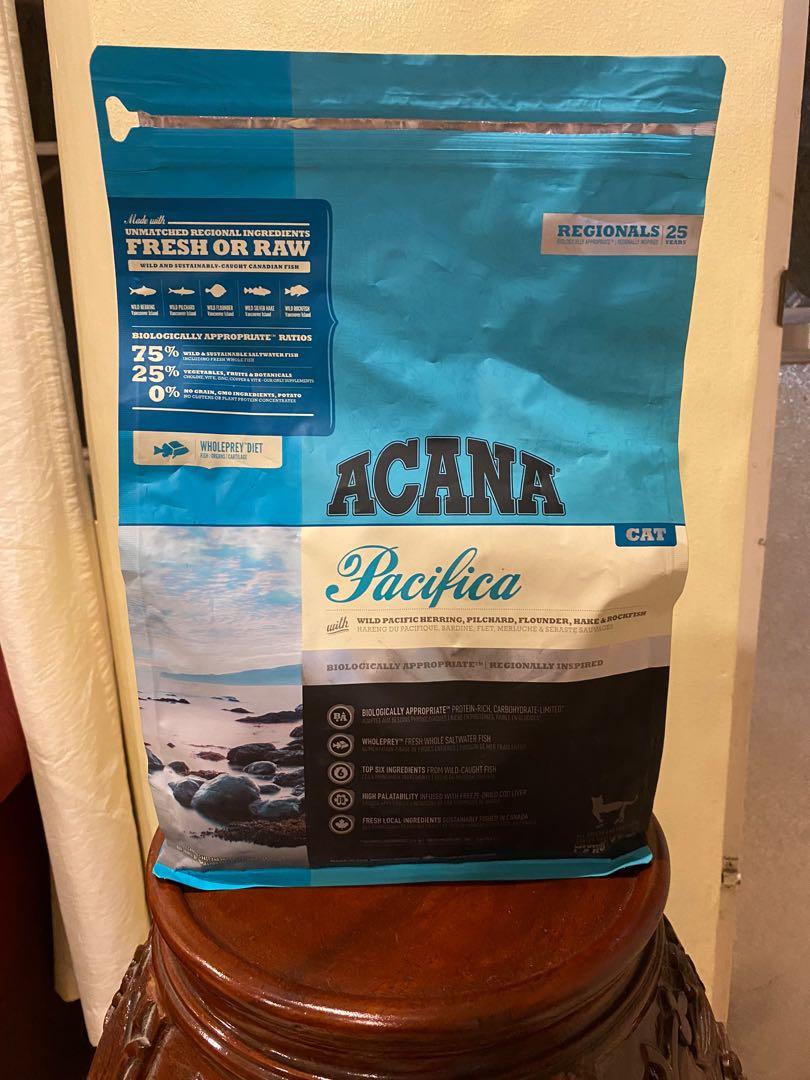 pacifica cat