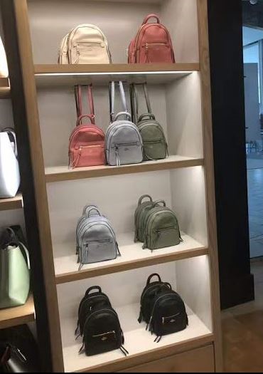 coach andi backpack size