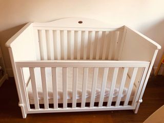 （分類：）位於 。 由 jcamer 提交（商品編號 1018331831，圖片 1）。簡介： 。