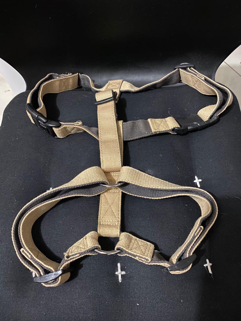 Ace hardware top dog leash
