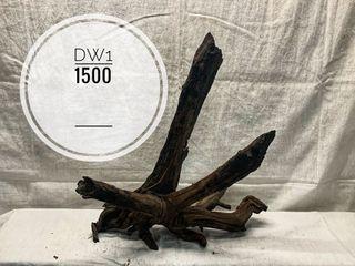 Driftwood for Gardening Aquarium Aquascaping Anubias plant propagation