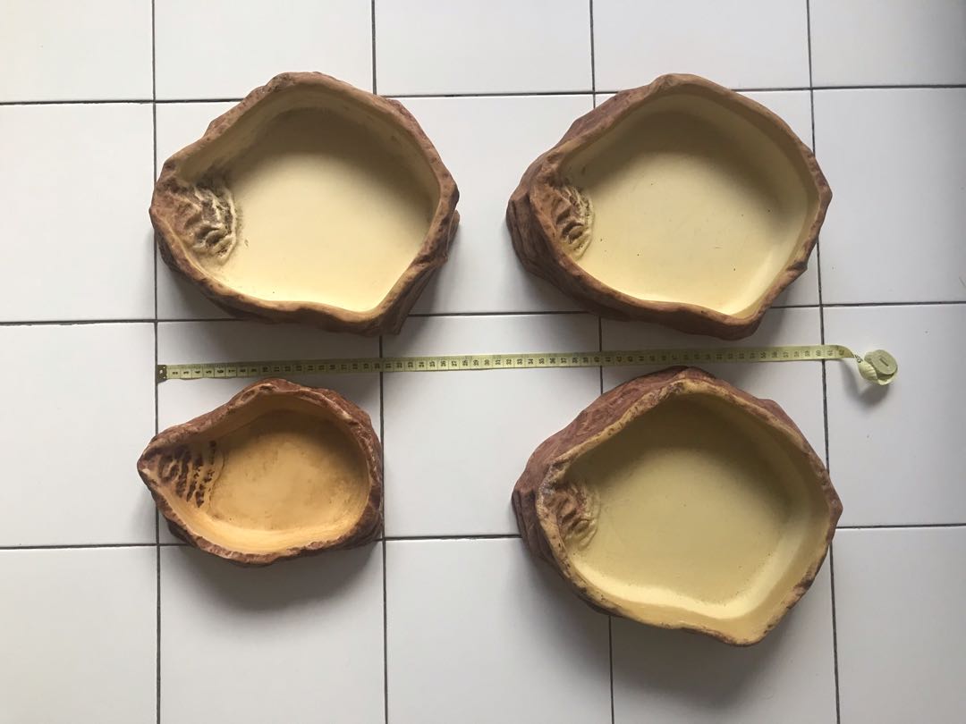 Exo terra water dish Pet Supplies Homes Other Pet Accessories