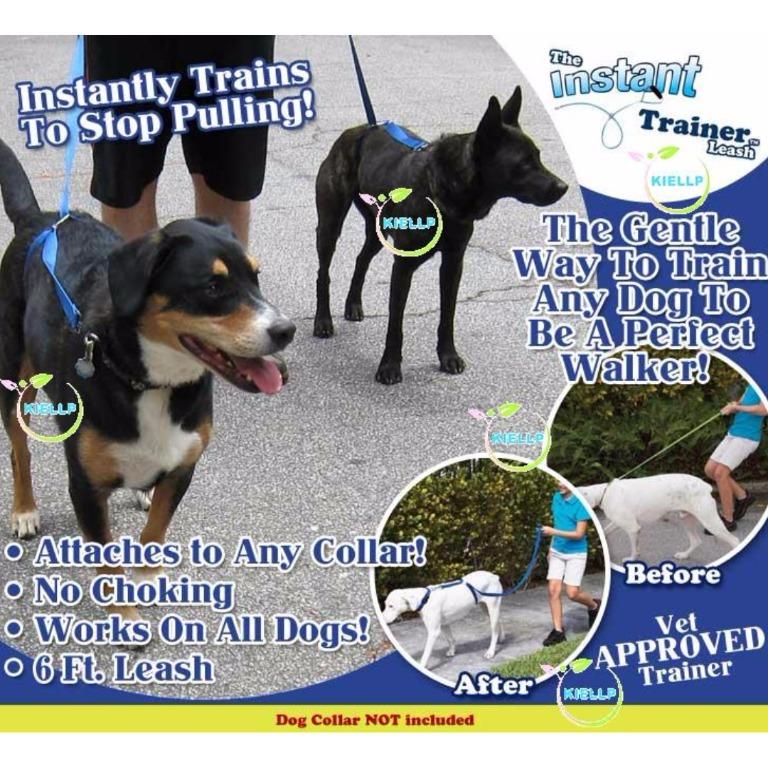 Instant trainer leash sales