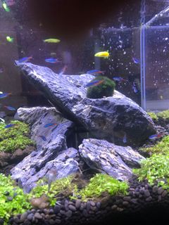 (Category: ) located in . Submitted by afiqio (Listing ID 1018467780, Image 1). Description: .