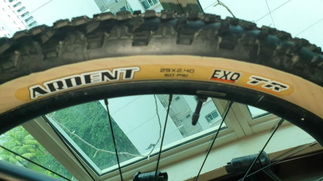 Maxxis ardent skinwall hotsell 29 exo tr