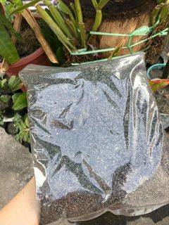 (Category: ) located in . Submitted by greenflixph (Listing ID 1018478891, Image 1). Description: .