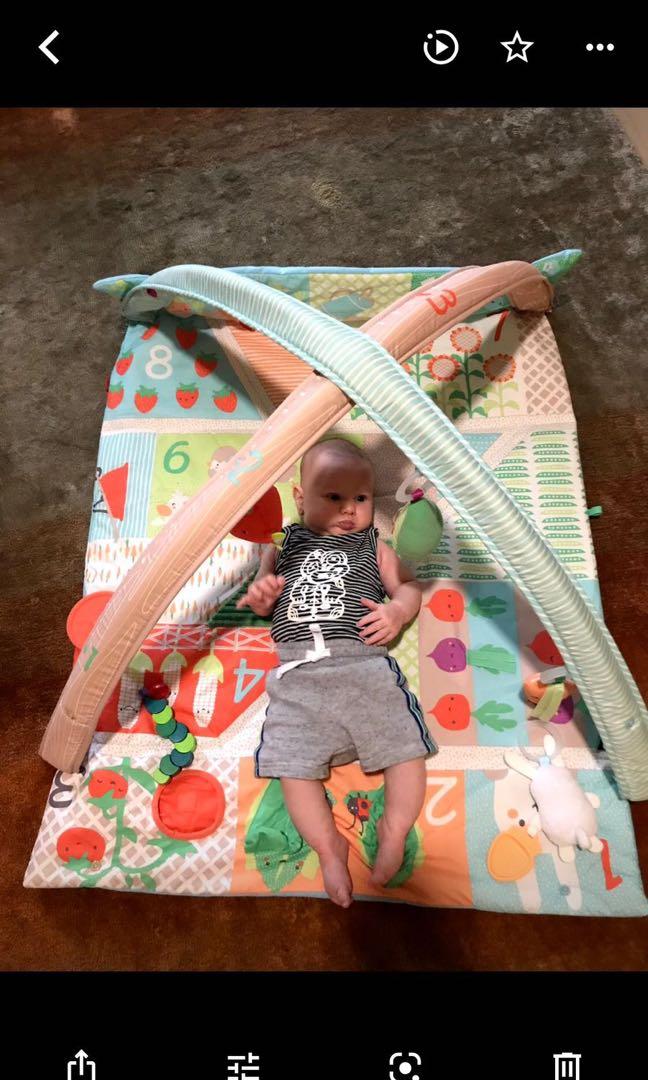 skip hop farm activity gym