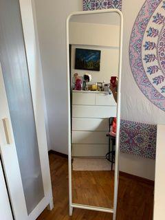 Standing Mirror 48cm x 160cm