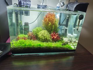 (Category: ) located in . Submitted by jackeemok (Listing ID 1018745200, Image 1). Description: .