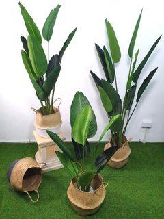Skgarden | Delicery to your door step | All Artificial Plant with pot start from $25 to $148 | monstera, banana, skybird, ficus fig, money plant, rubber plant, palm, olive, eucalytus and etc | Home decor | Fake Plant Tree with pot