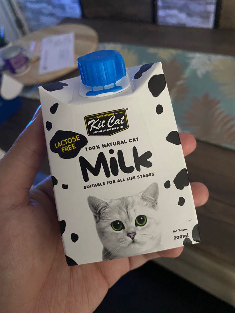 kit cat milk