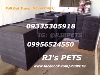(Category: ) located in . Submitted by rj8pets (Listing ID 1018577033, Image 1). Description: .