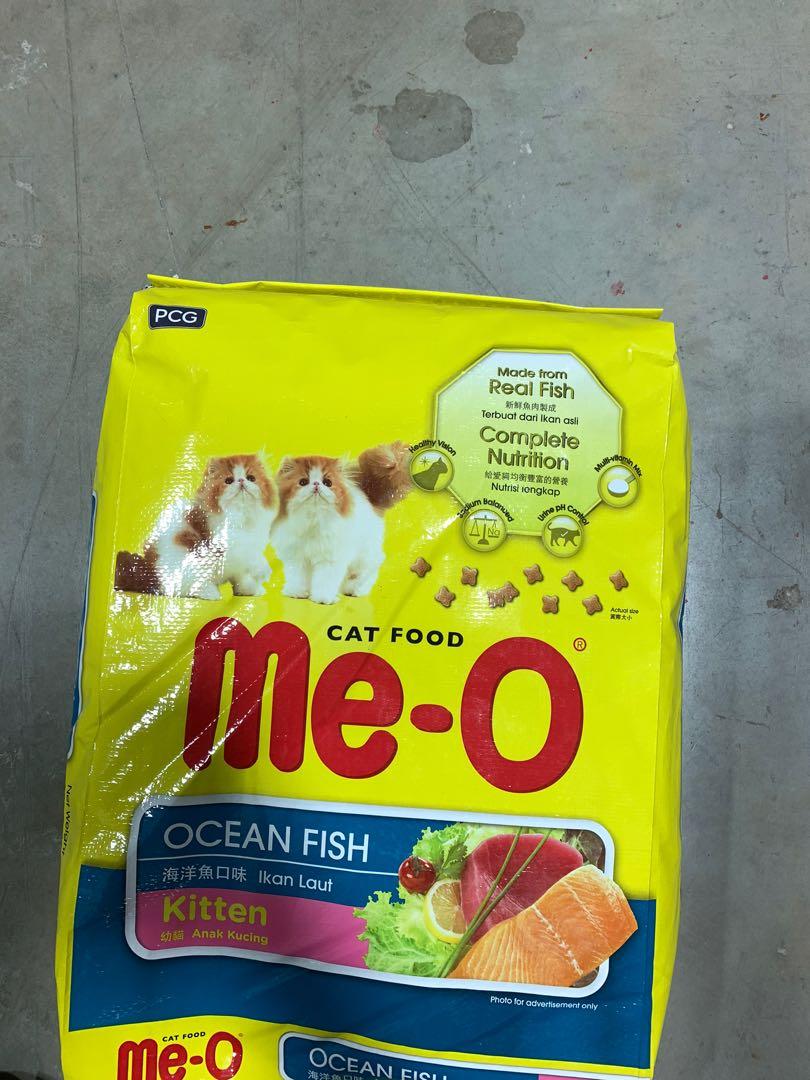 Kitten Food Me O - The Y Guide