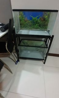 (Category: ) located in . Submitted by mskidwalldecorsg (Listing ID 1018916589, Image 1). Description: .