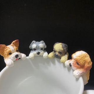 （分類：）位於 。 由 fty059 提交（商品編號 1019038436，圖片 1）。簡介： 。
