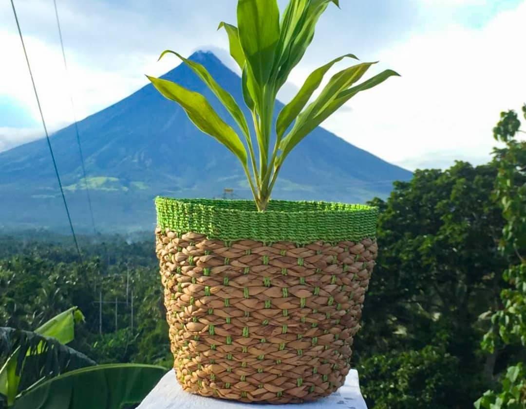 Abaca Planters Gardening Garden Tools Supplies On Carousell