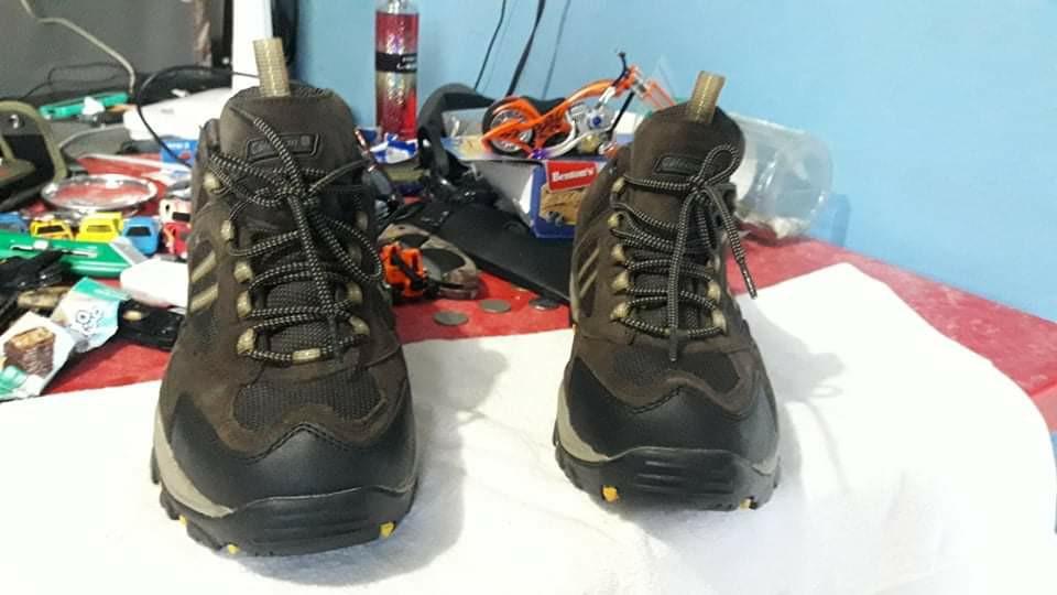 coleman hiking shoes