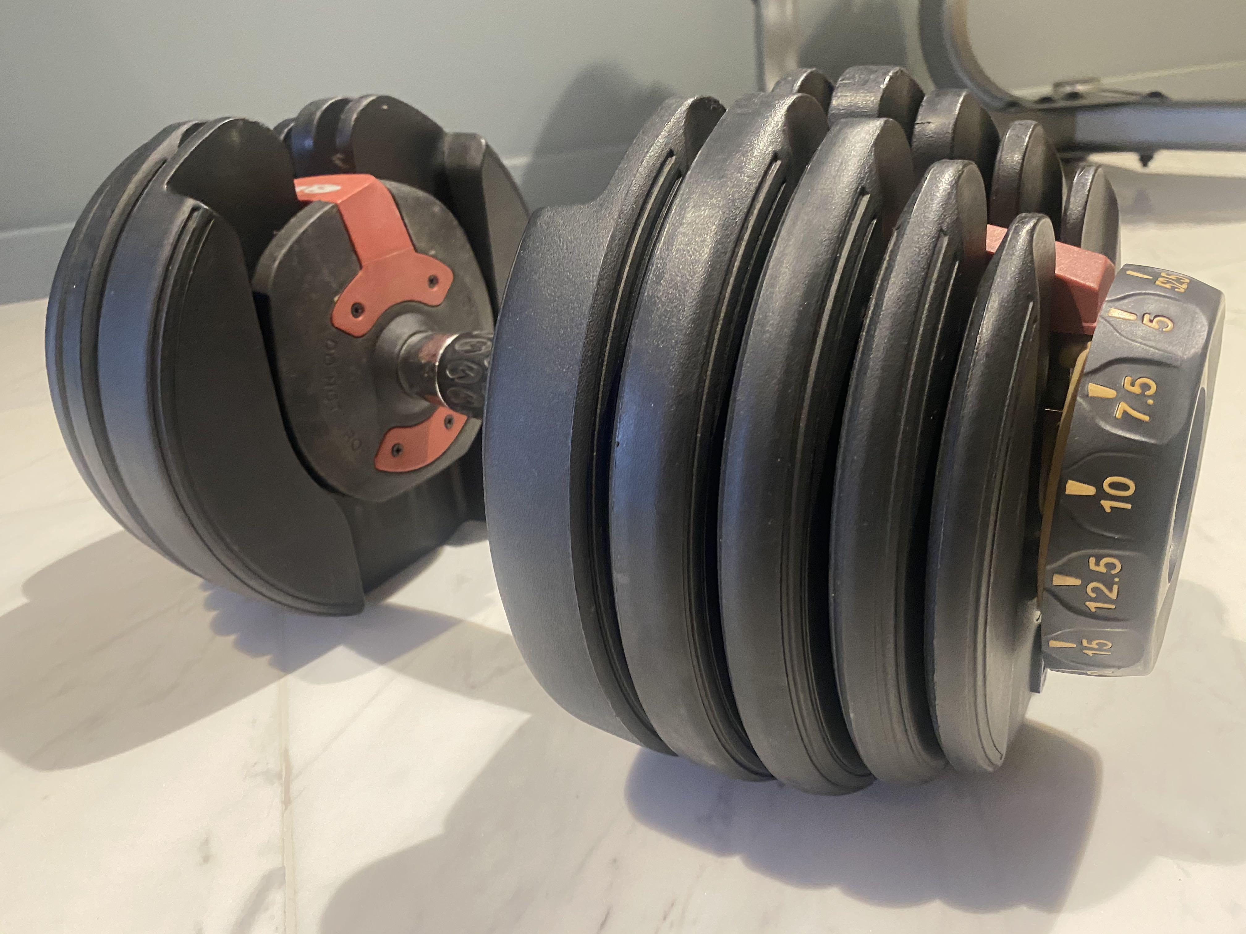 Bowflex selecttech 550 hot sale