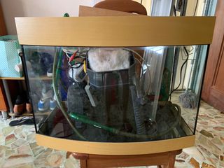 (Category: ) located in . Submitted by xg.ted (Listing ID 1018869465, Image 1). Description: .