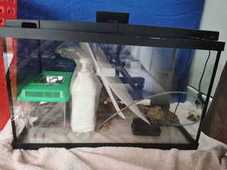 (Category: ) located in . Submitted by leong1969 (Listing ID 1019018387, Image 1). Description: .