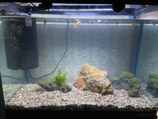 (Category: ) located in . Submitted by makingahabit (Listing ID 1018859965, Image 1). Description: .