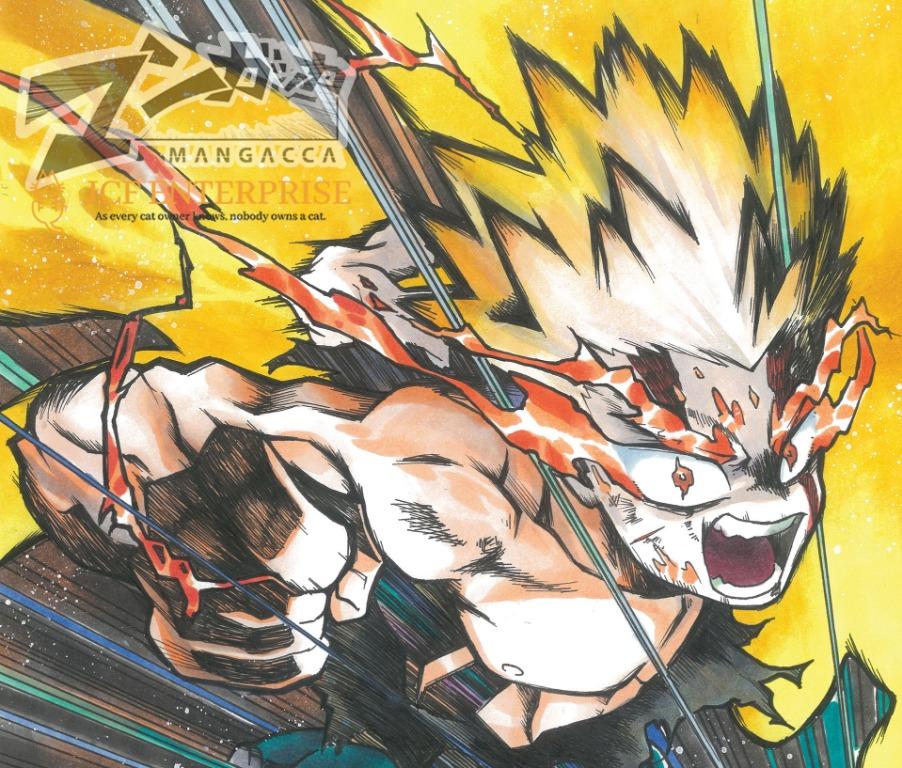 MANGACCA] My Hero Academia Bakugo Deku Hand Drawn Gold Dust A3 